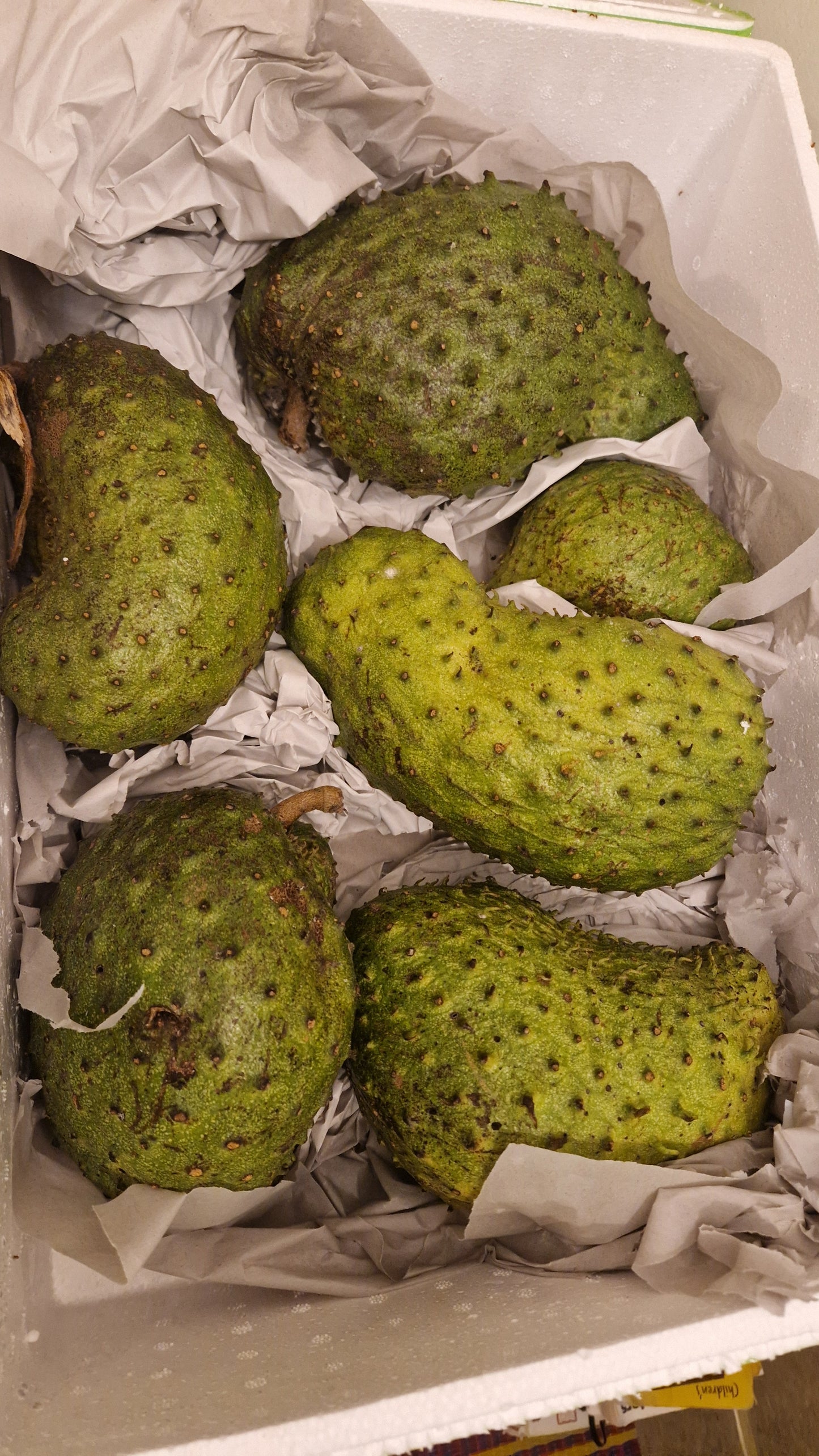 Soursop
