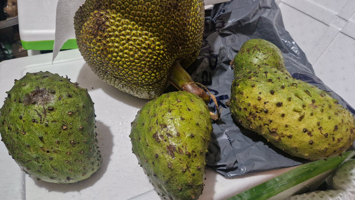 Soursop