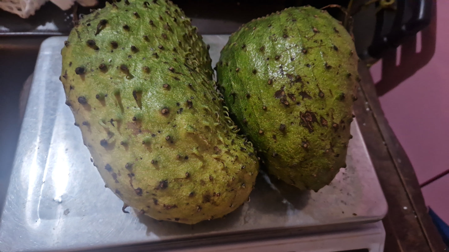 Soursop