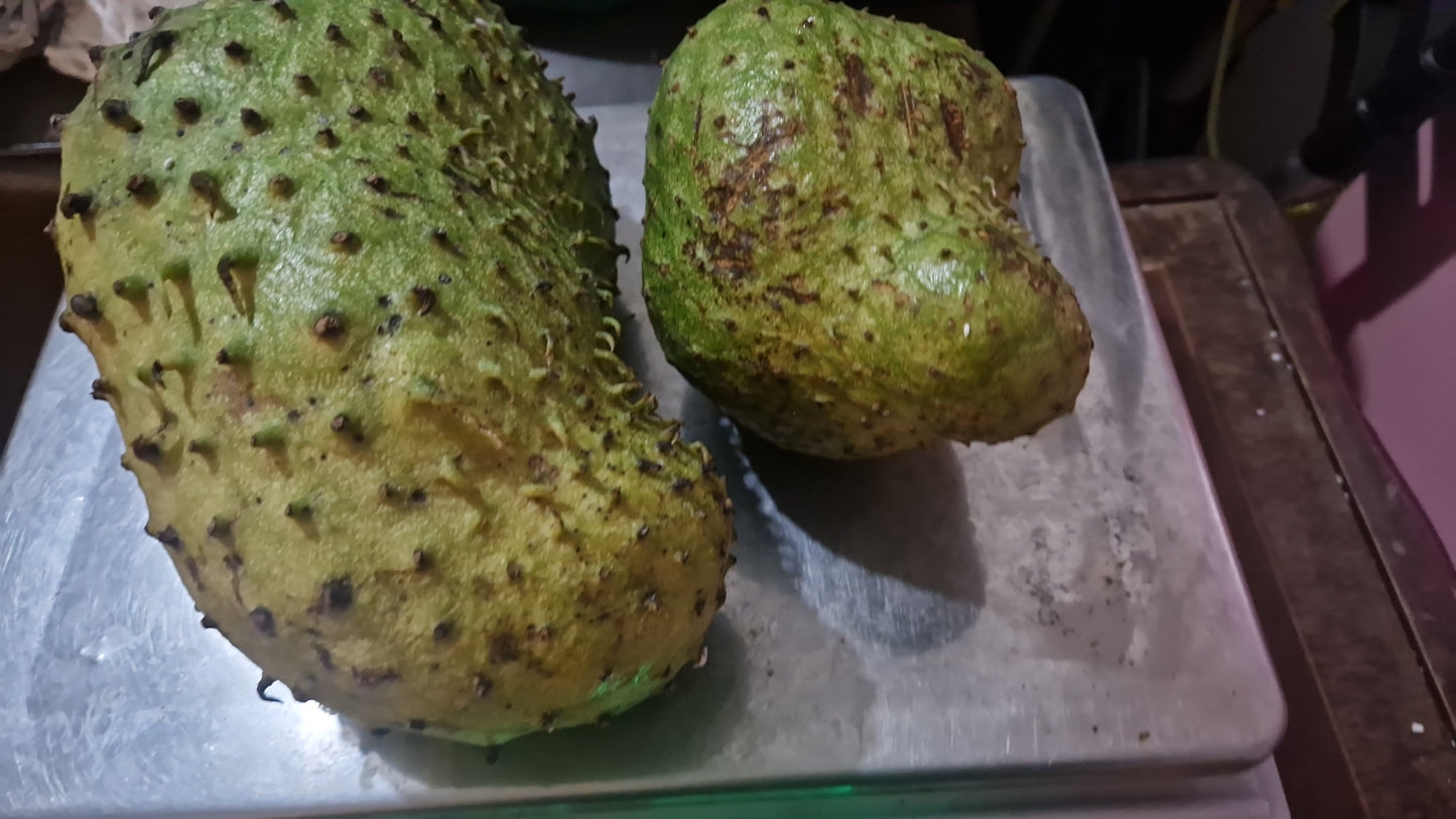 Soursop