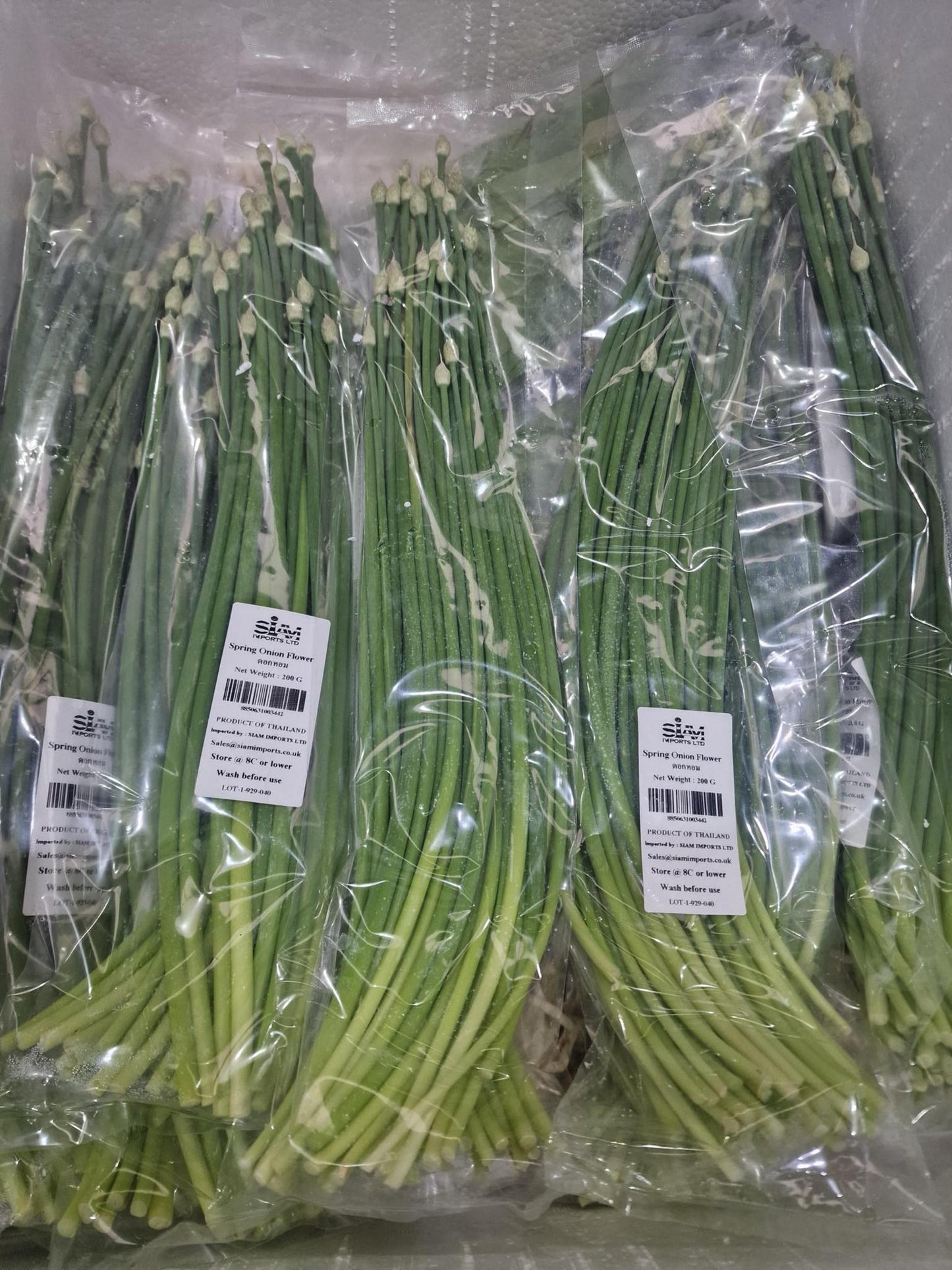Vegetables
