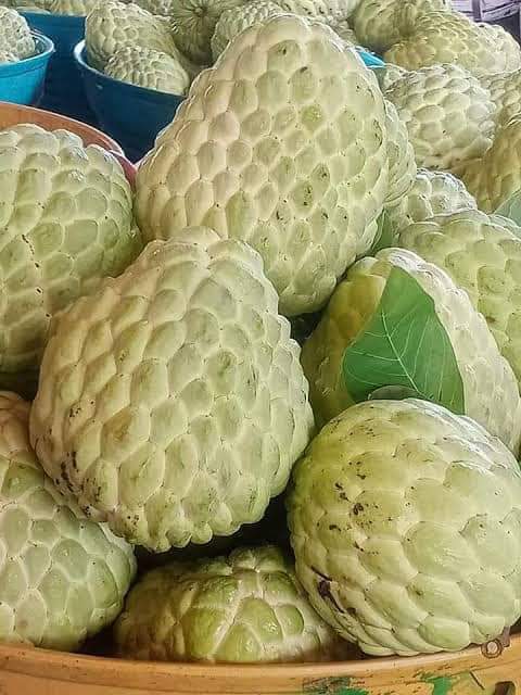 Custard apple £18 /kg