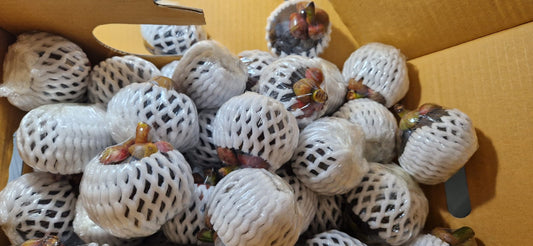 Mangosteen 1kg