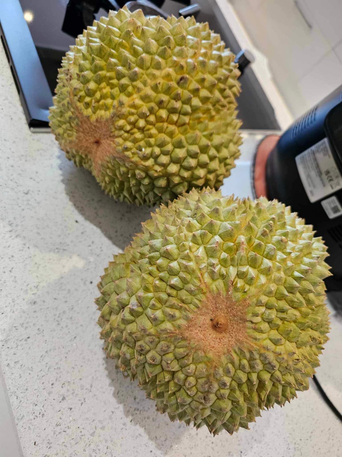 Musang King Durian 1kg