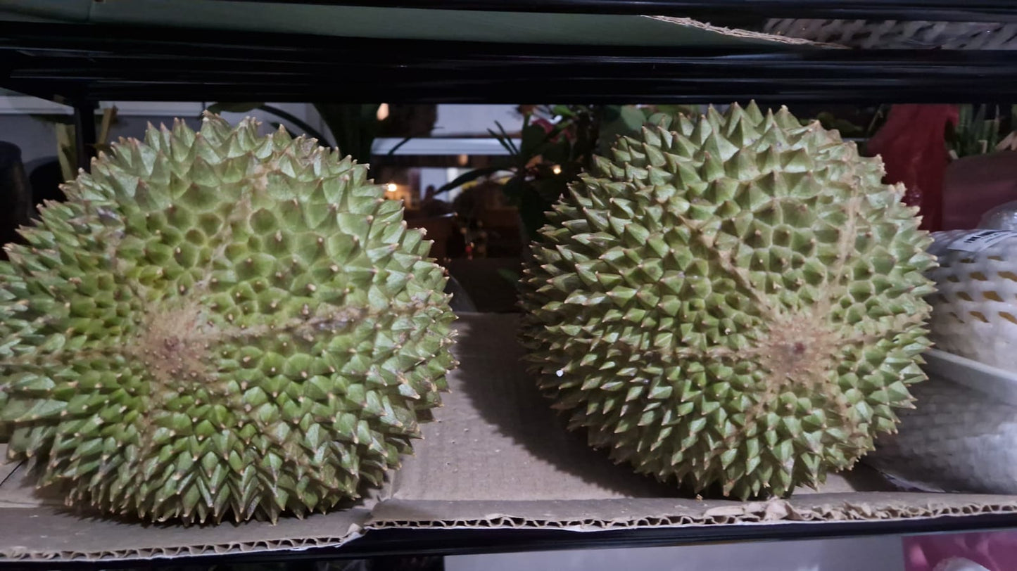 Musang King Durian 1kg