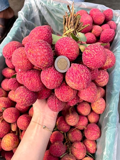 Lychee 1kg