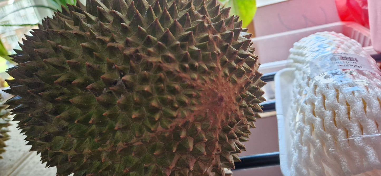 Musang King Durian 1kg