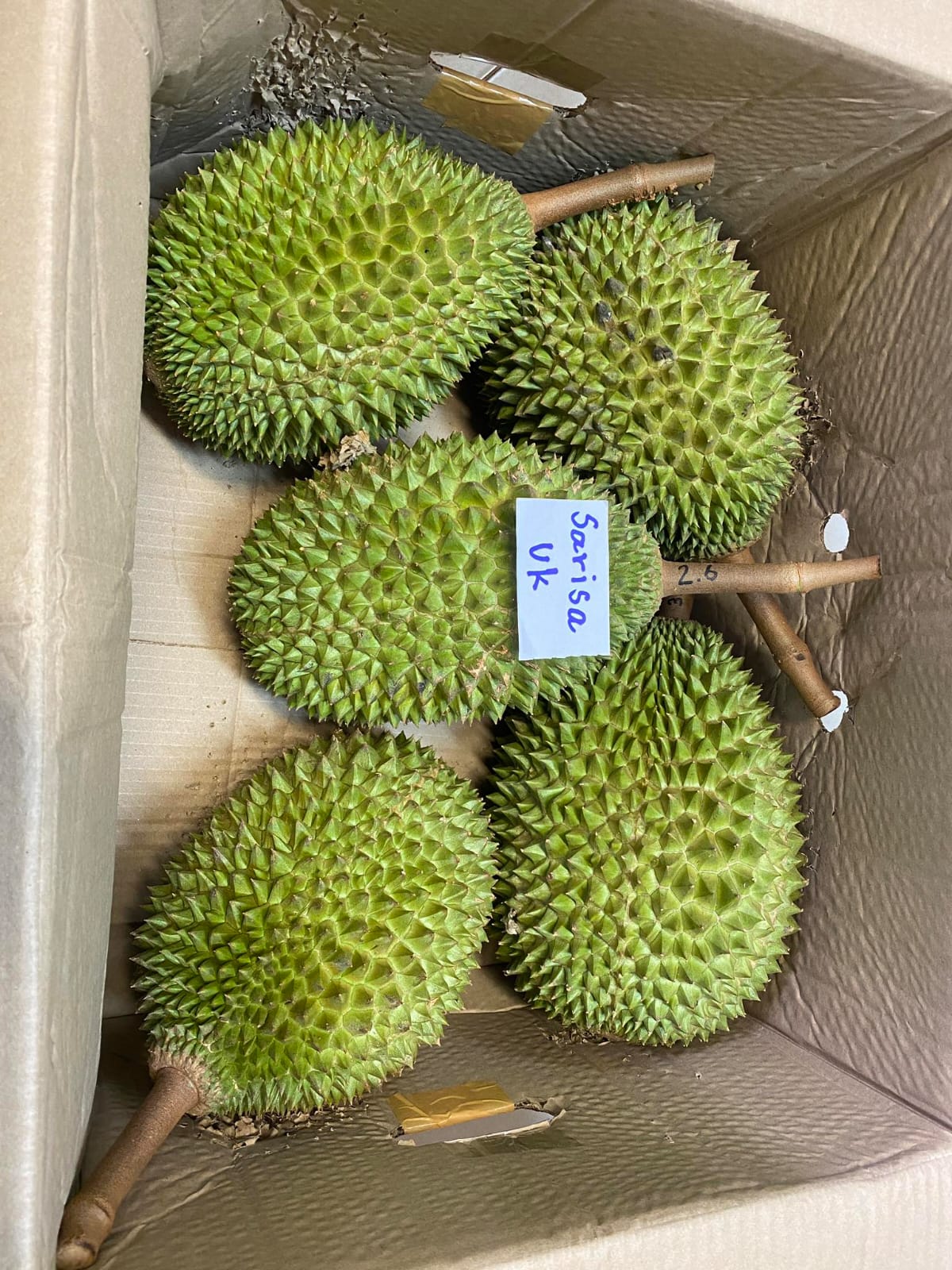 Musang King Durian 1kg