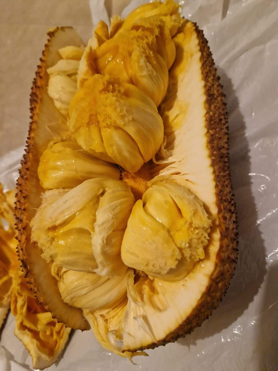 Jackfruit