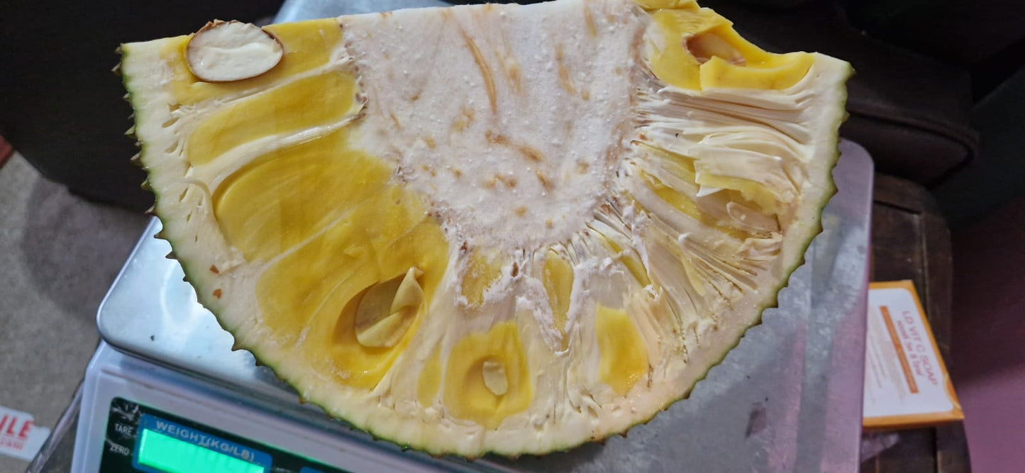 Jackfruit