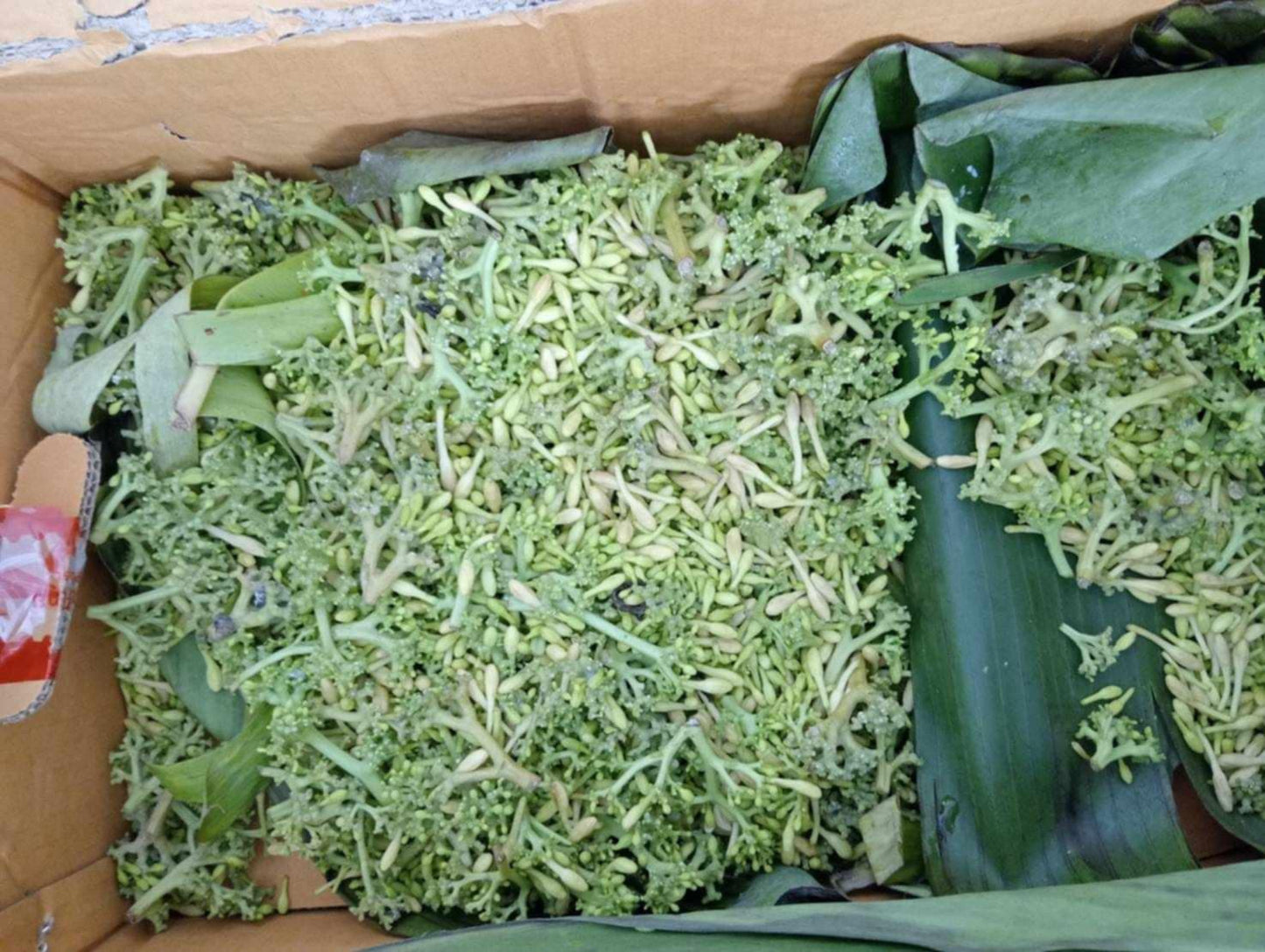 Vegetables