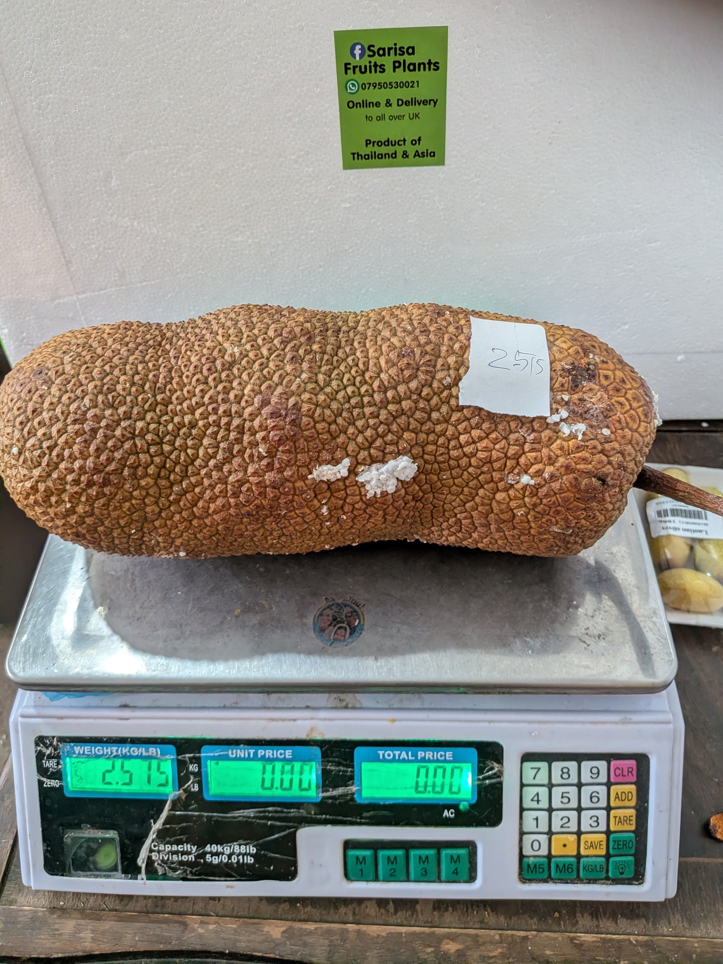 Chempadak not jackfruit