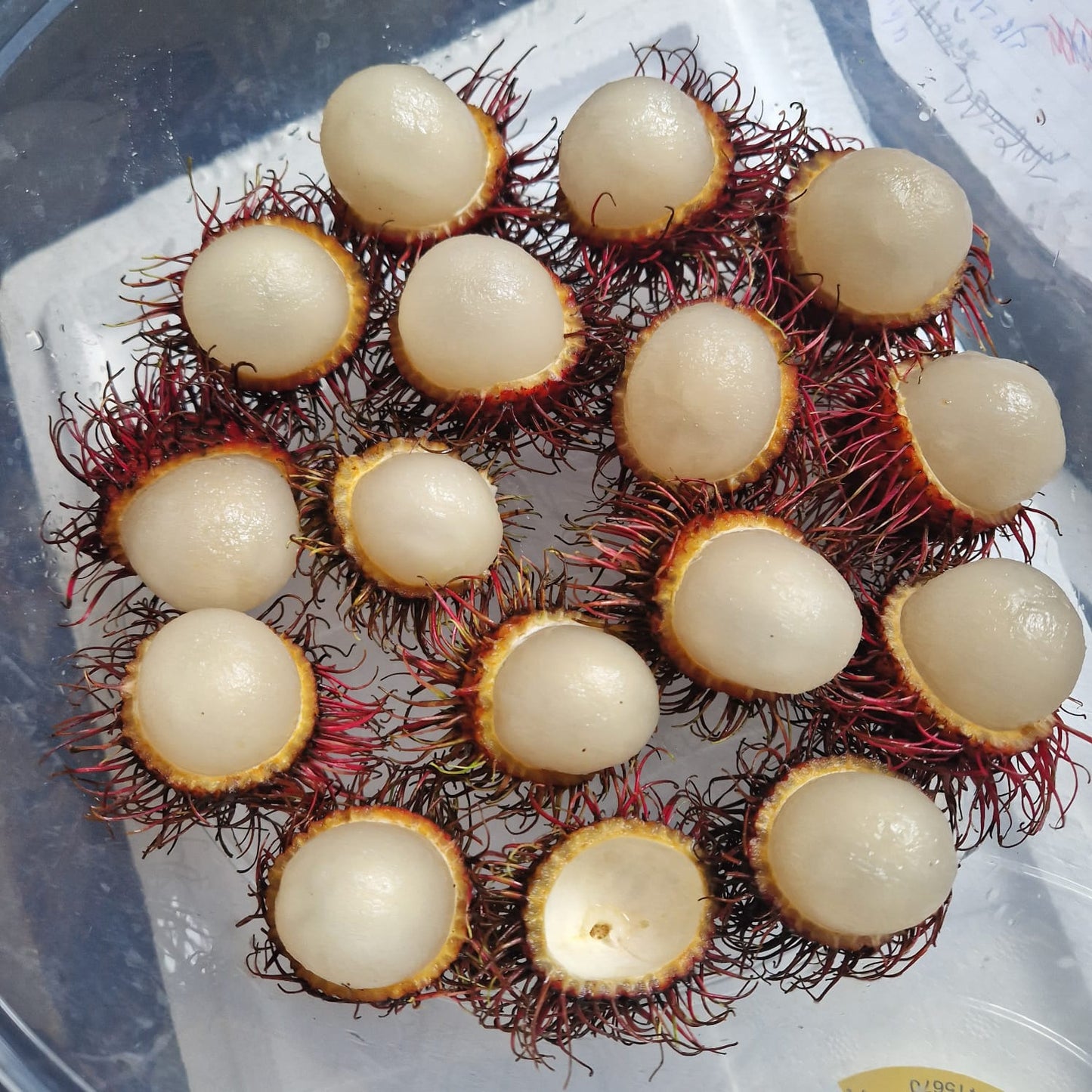 Rambutan 3kg / £45 whole box