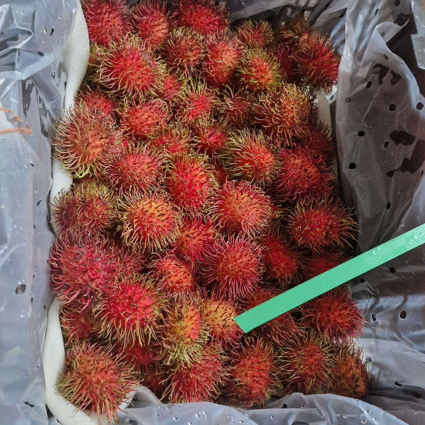 Rambutan 3kg / £45 whole box