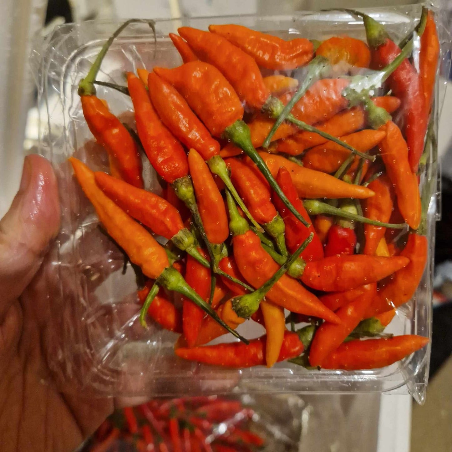 Laos Chillis £2.7 /100g