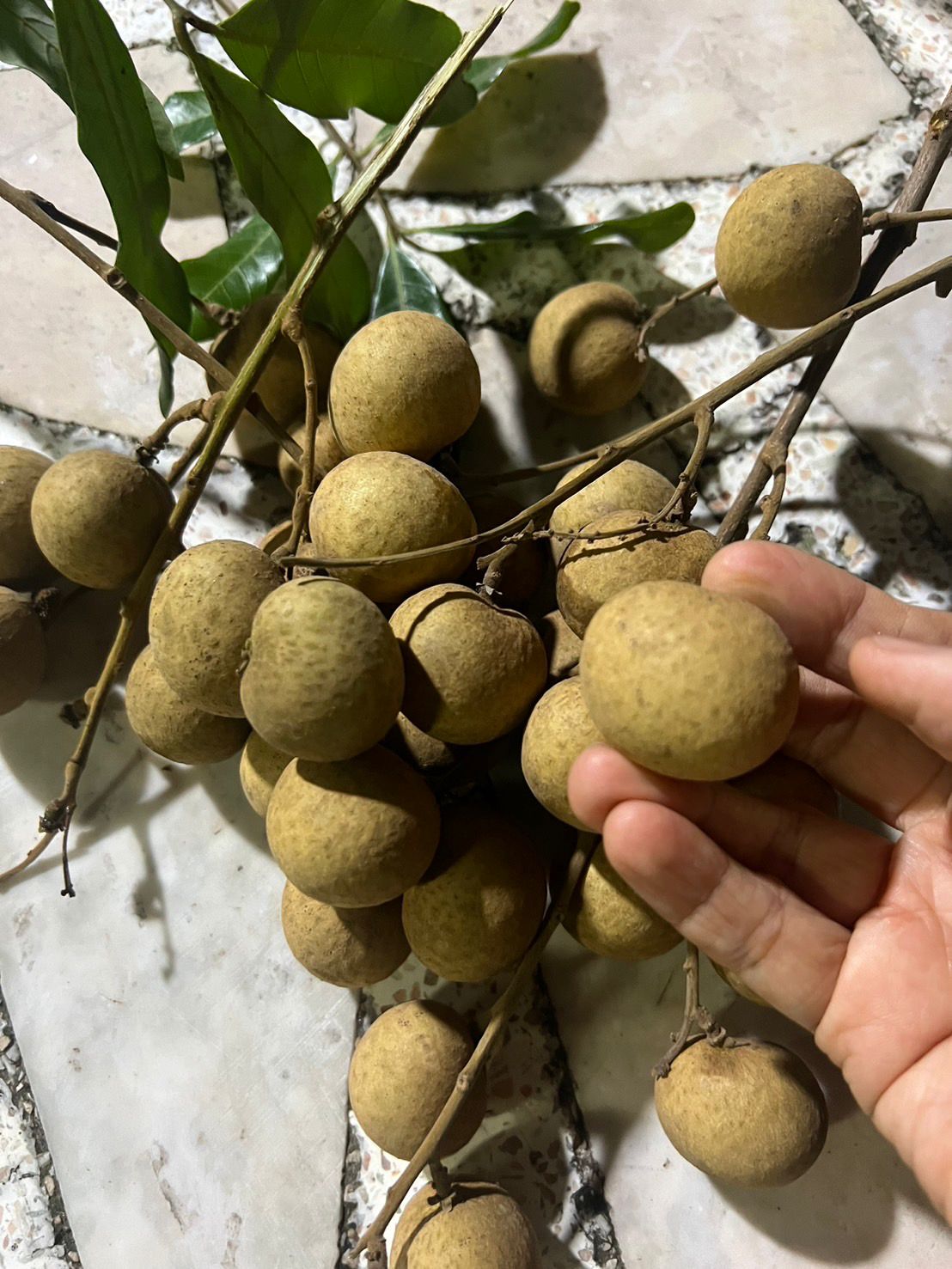 Longan 1 kg