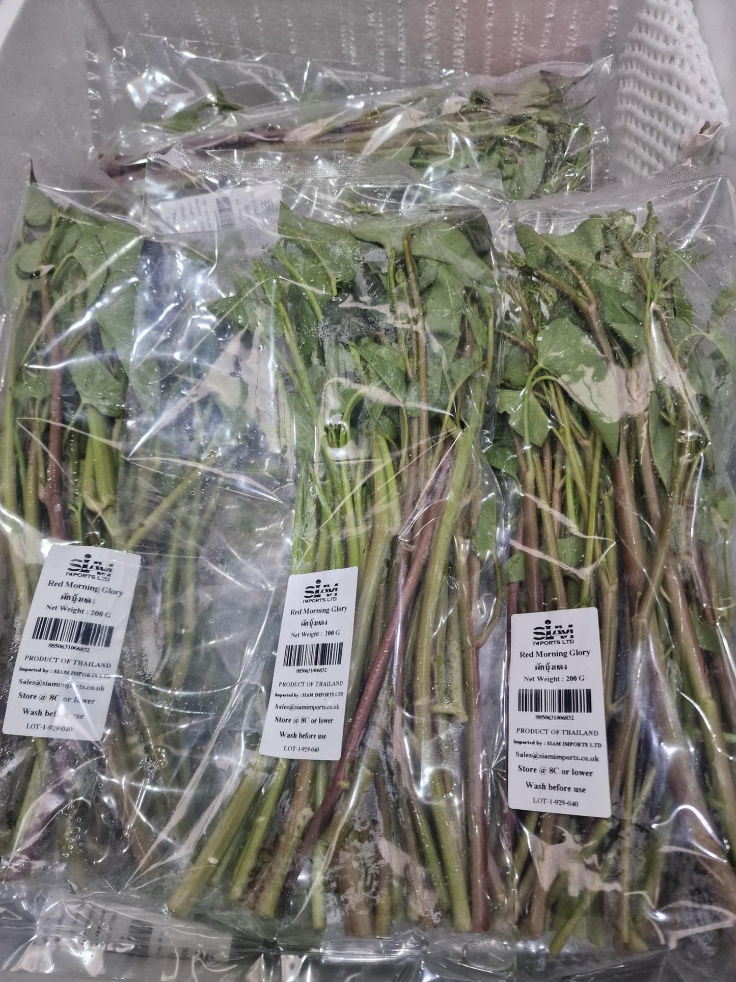 Vegetables