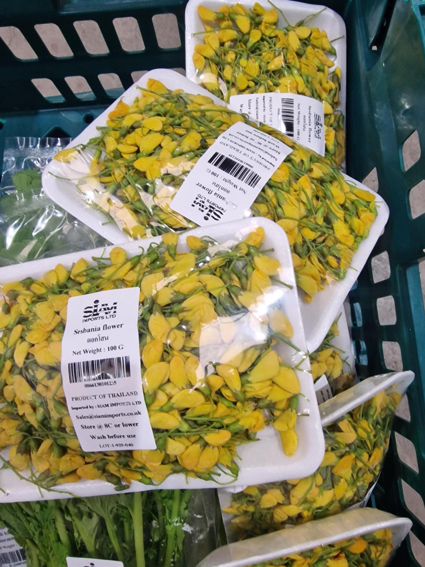 Vegetables