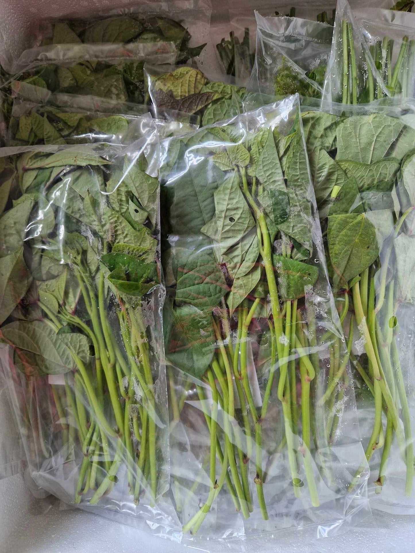 Sweet potato Leaves 100g