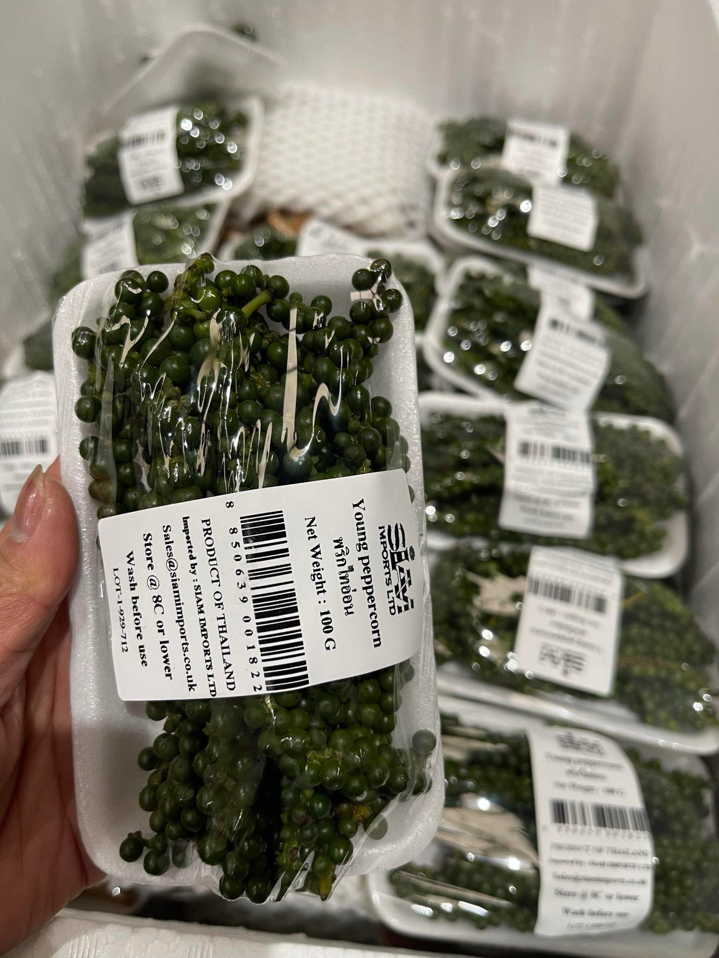 Vegetables