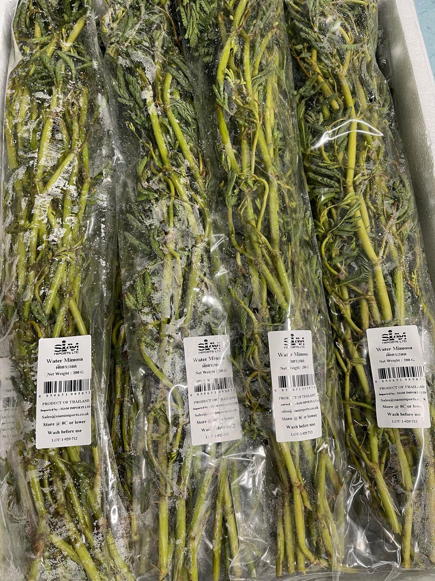 Vegetables