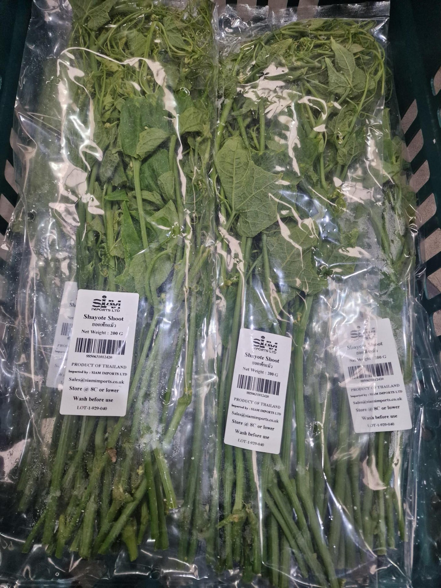 Vegetables