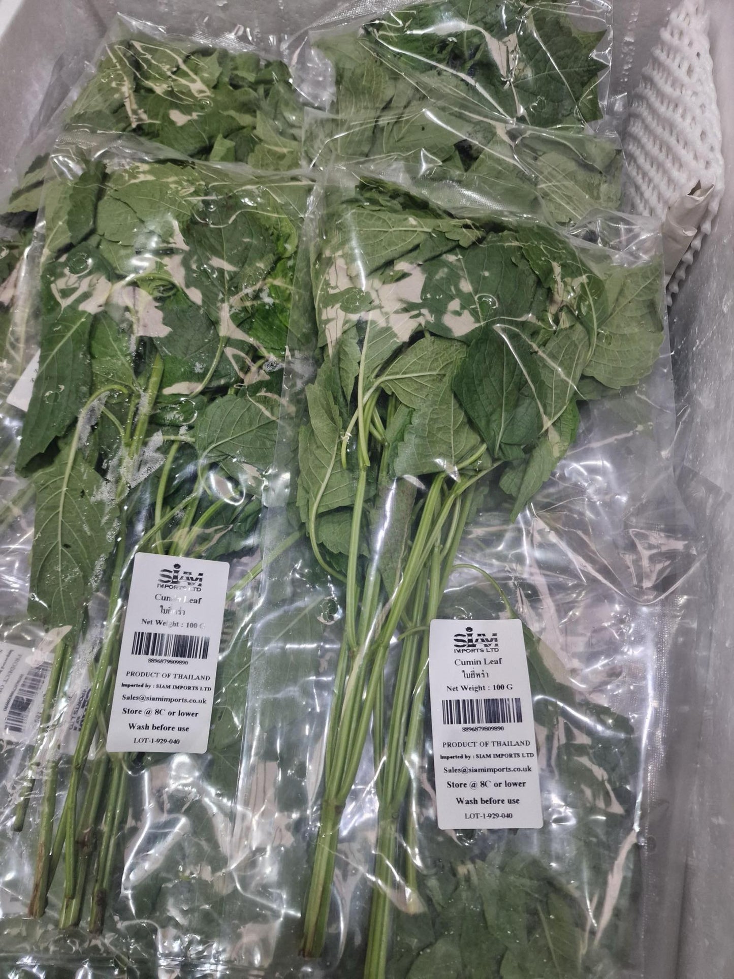 Vegetables