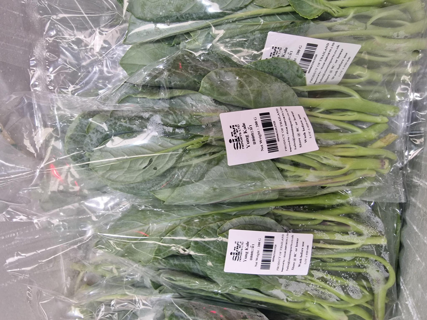 Vegetables